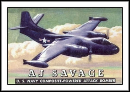 44 Aj Savage